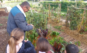 Portes ouvertes au jardin partagé des Béguines à Lucé