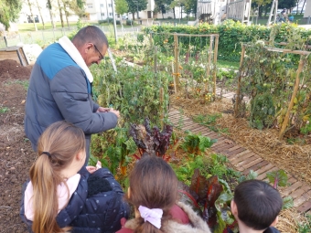 Portes ouvertes au jardin partagé des Béguines à Lucé